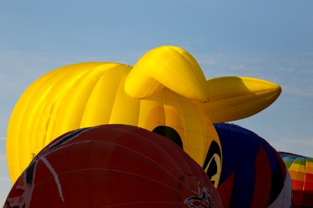 IMG 7229