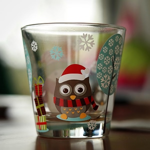 Owl winter drinking glass