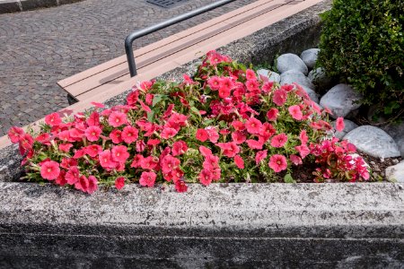 Gita al Lago D'Iseo