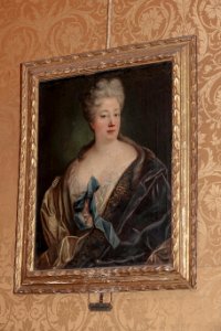 Visita a Palazzo Cisterna e Torino