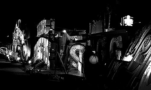 The Neon Boneyard