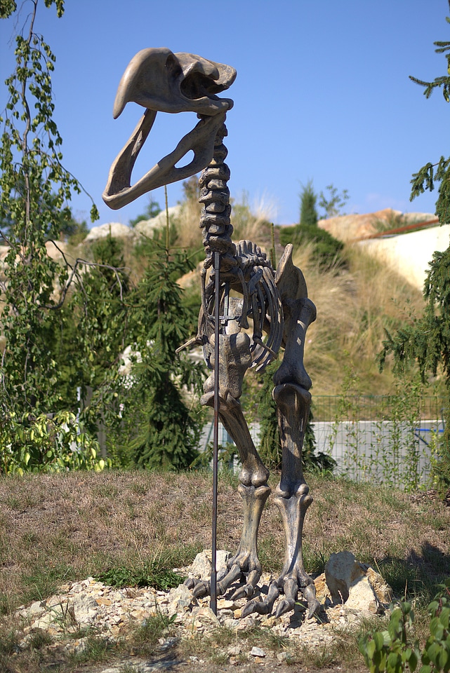 Prehistoric times bone frame
