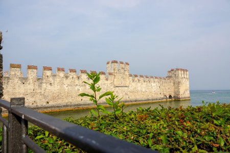 DSC02221