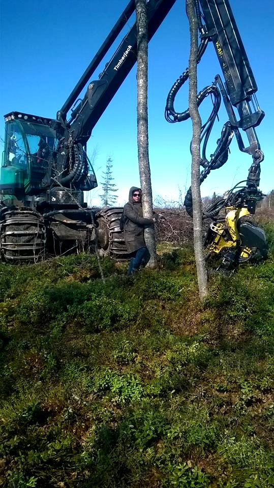 Kuva mielenilmauksesta Hanhikivenniemen hakkuita vastaan