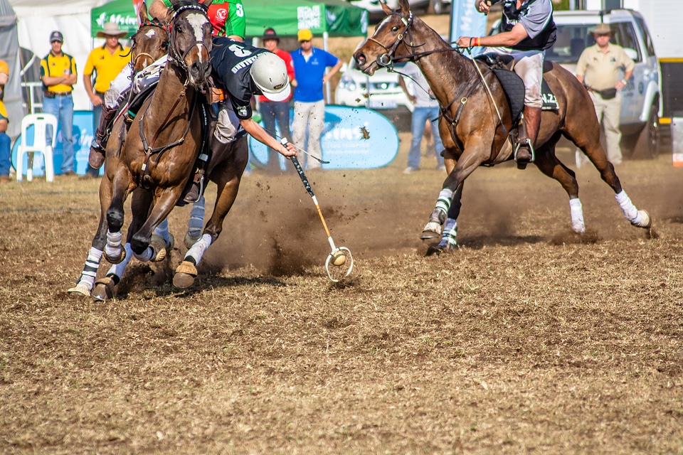 Hobby polo competition