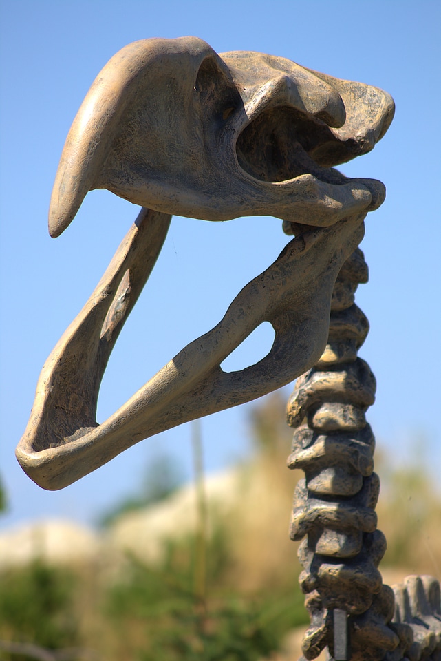 Prehistoric times bone frame