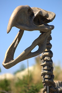 Prehistoric times bone frame photo