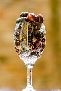 Fruit wine white photo