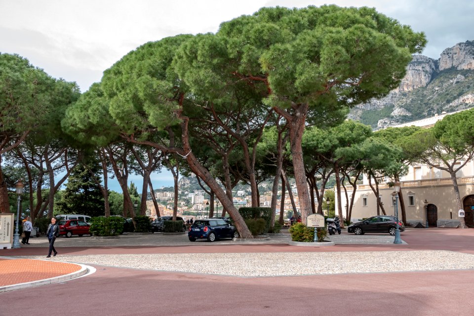 Gita a Montecarlo 06042019
