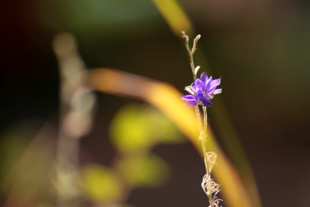 seule à prendre le soleil