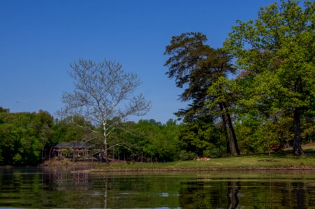 Kayaking at Fountainhead photo