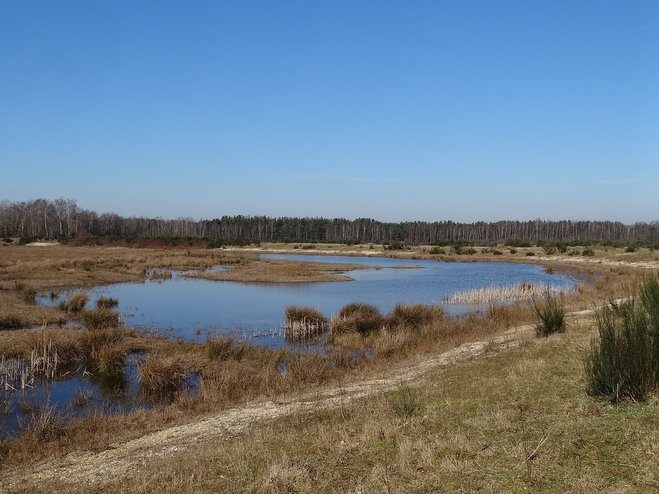 Natural water landscape of course