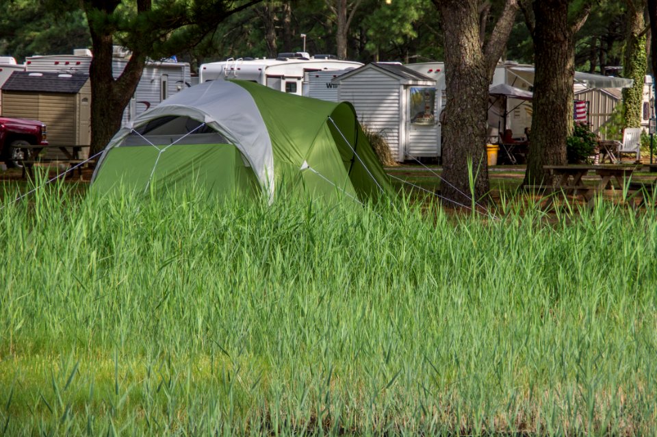 Camping at Maddox Family Campground