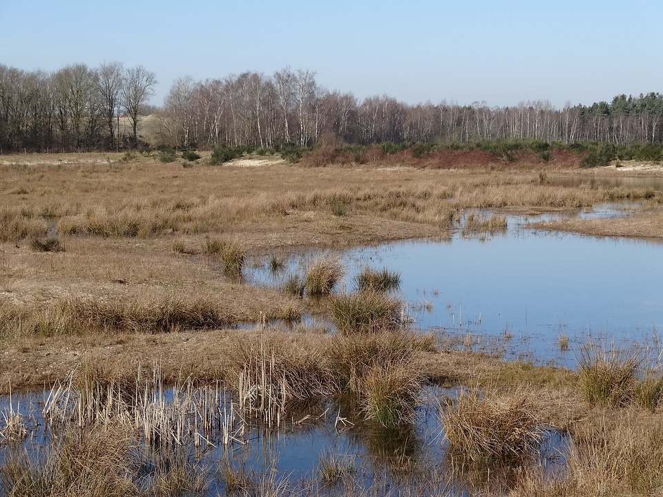 Natural water landscape of course