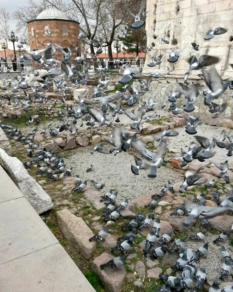 ULUS , ANKARA
