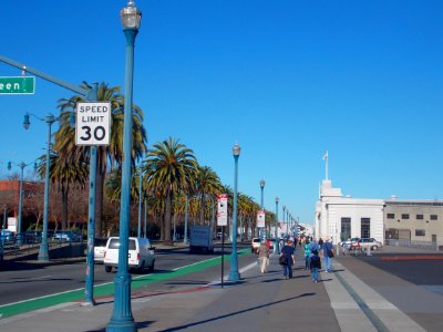 Palm Trees, CA photo