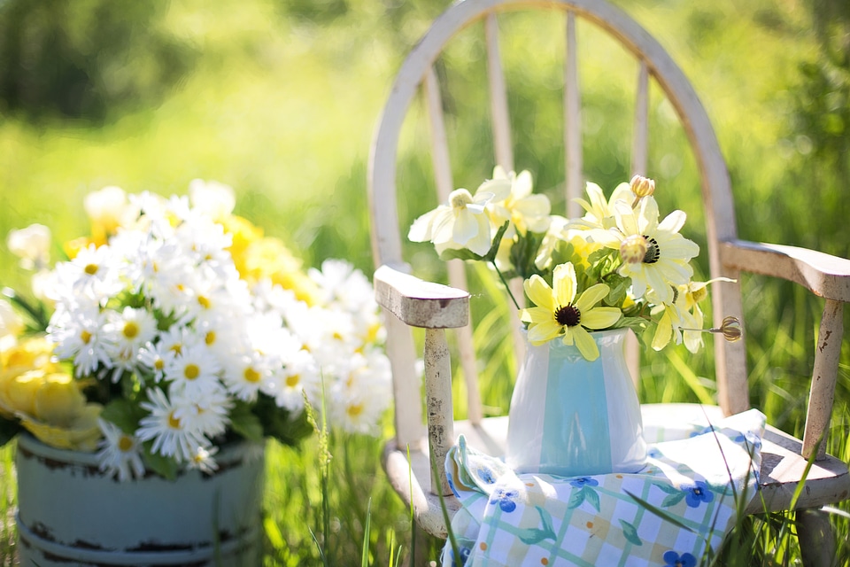 Yellow garden flowers