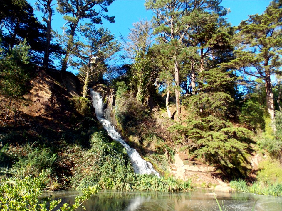 JFK Dr Falls