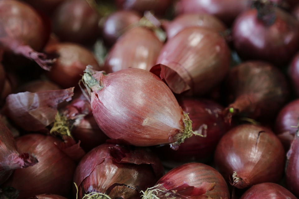 Onion vegetables food