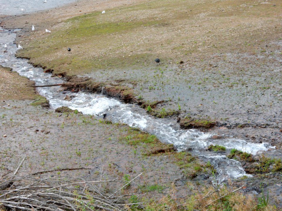 Tiny stream 2