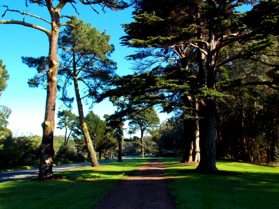 pretty parks