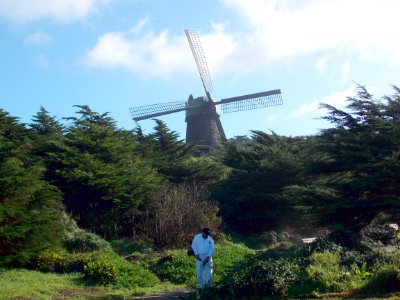 Windmill Garden