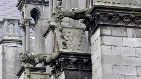 Lille Notre Dame de la Treille