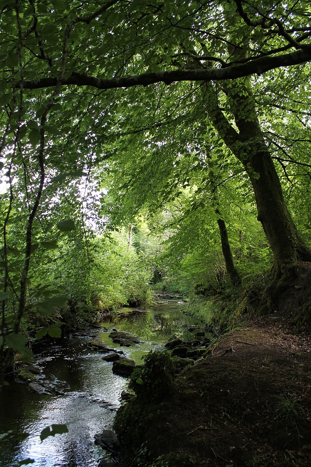 River ireland green river