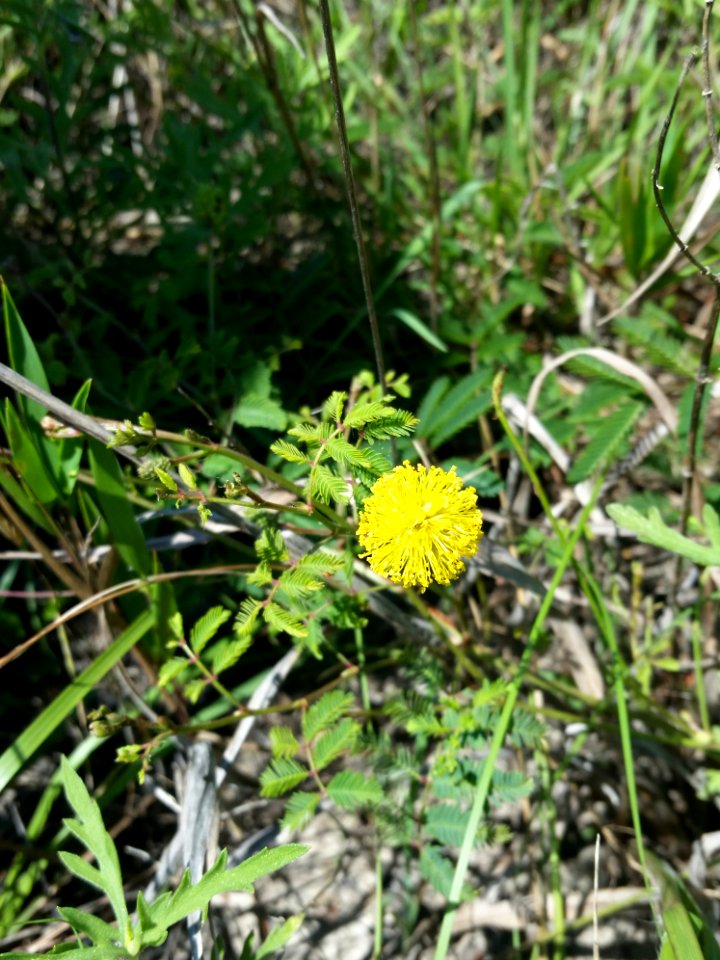 20150627 152949