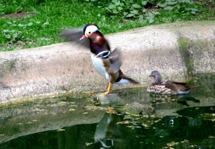 IMG 3078crop