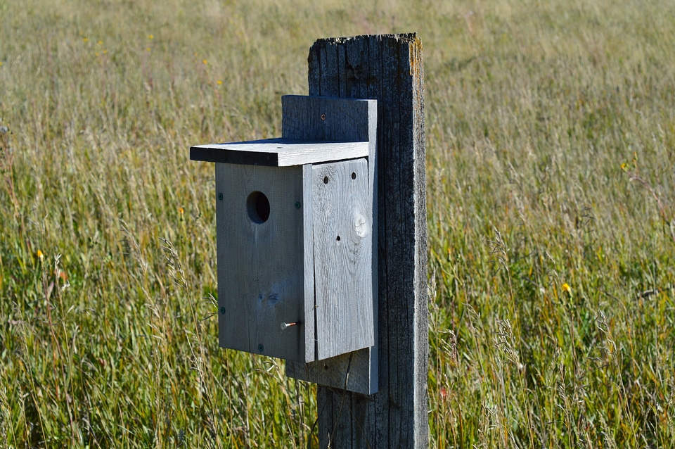 Prairie nature birdhouse