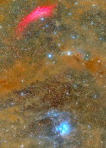 California Nebula + Pleiades (M45) photo