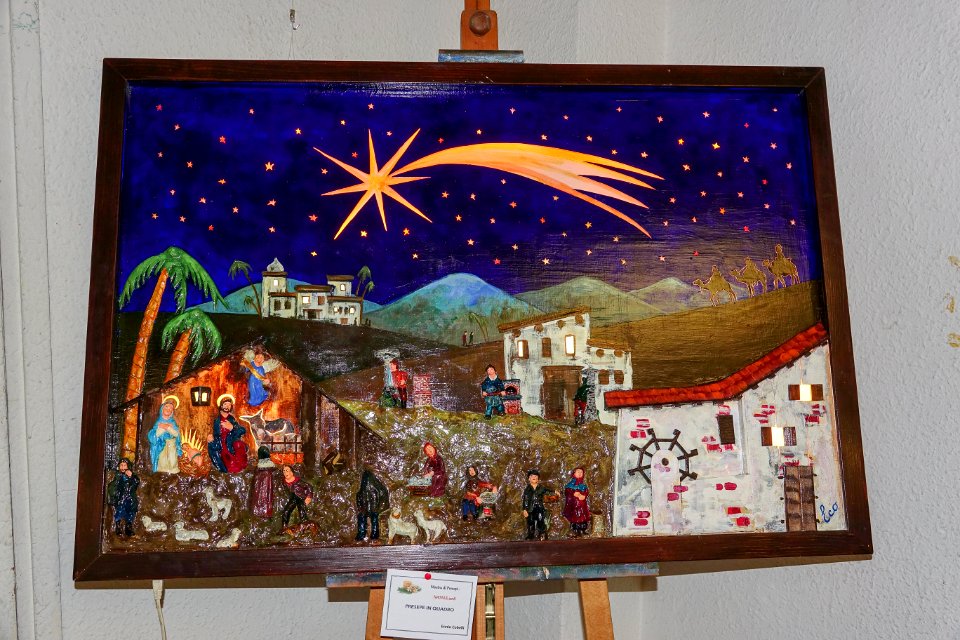 DSC02876