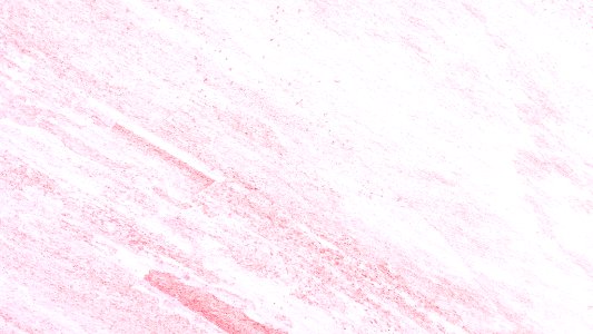 Pink background photo