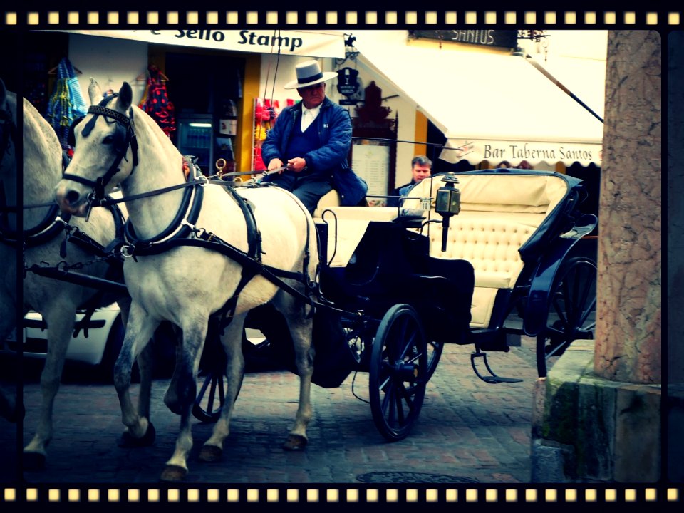 Coche de cabalos cordobes