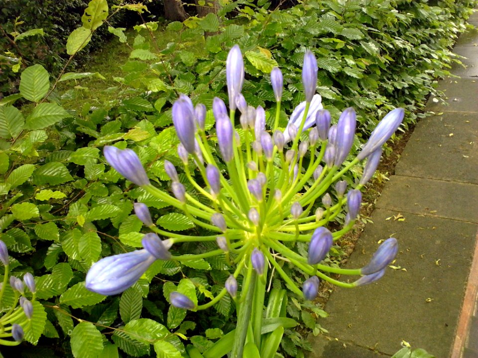 IMG 20150619 173357