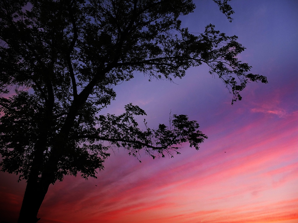 Night sunset silhouette