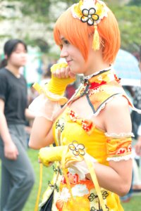 Sakura-7786