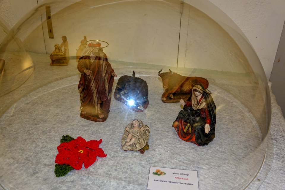 DSC02907
