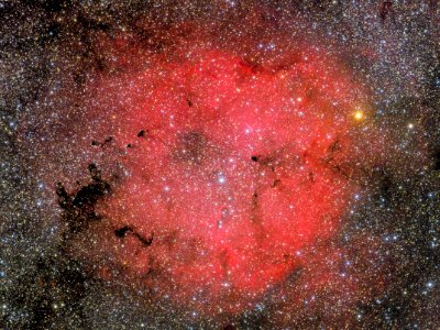 IC 1396 + Mu Cephei photo