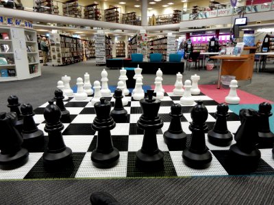 Giant chess board