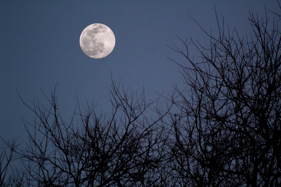 Full Moon rising on February 26, 2021