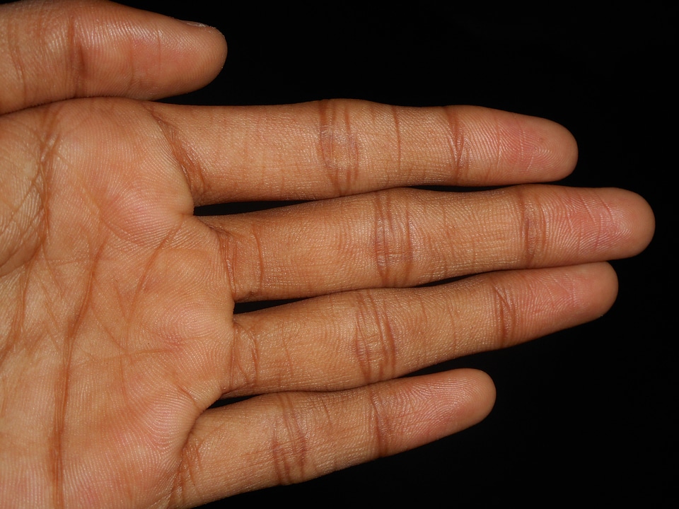 Digits fingers sign