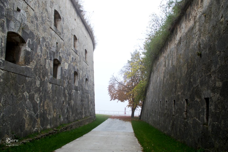 DSC 4167