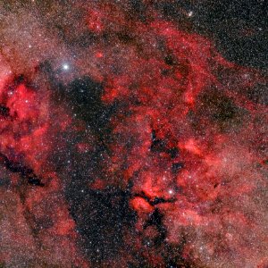 Cygnus mosaic A