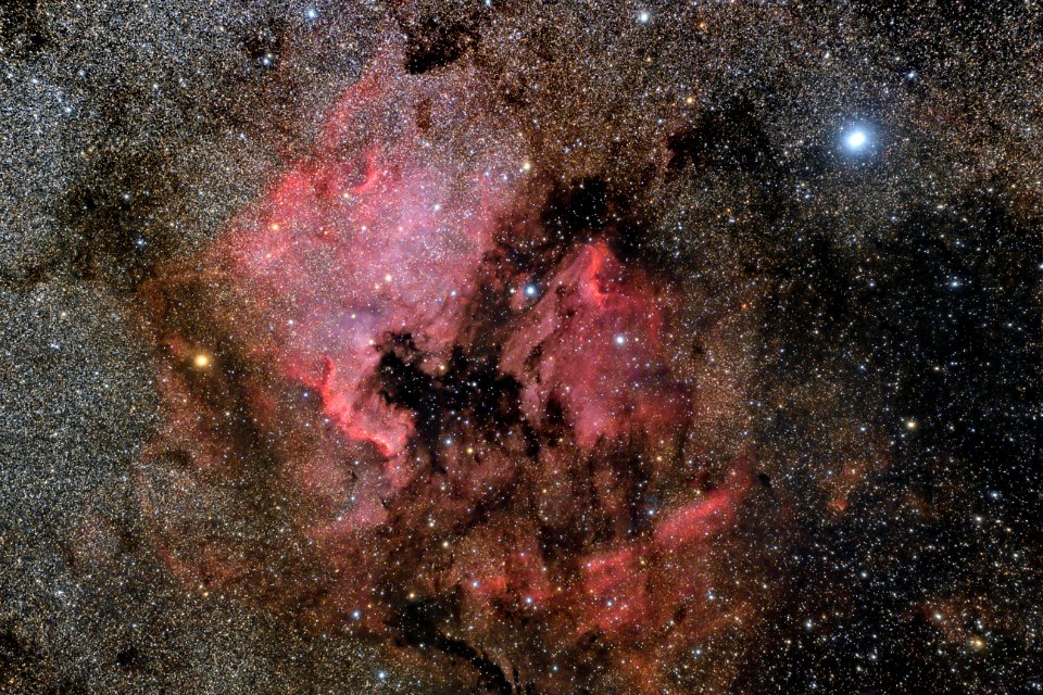 North America and Pelican Nebulae Region + Deneb