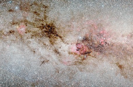 The Black Widow (dark nebulae complex)