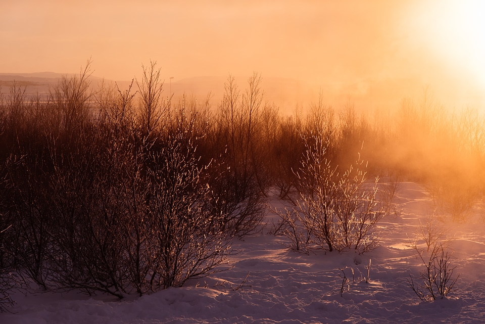 Winter wintry white