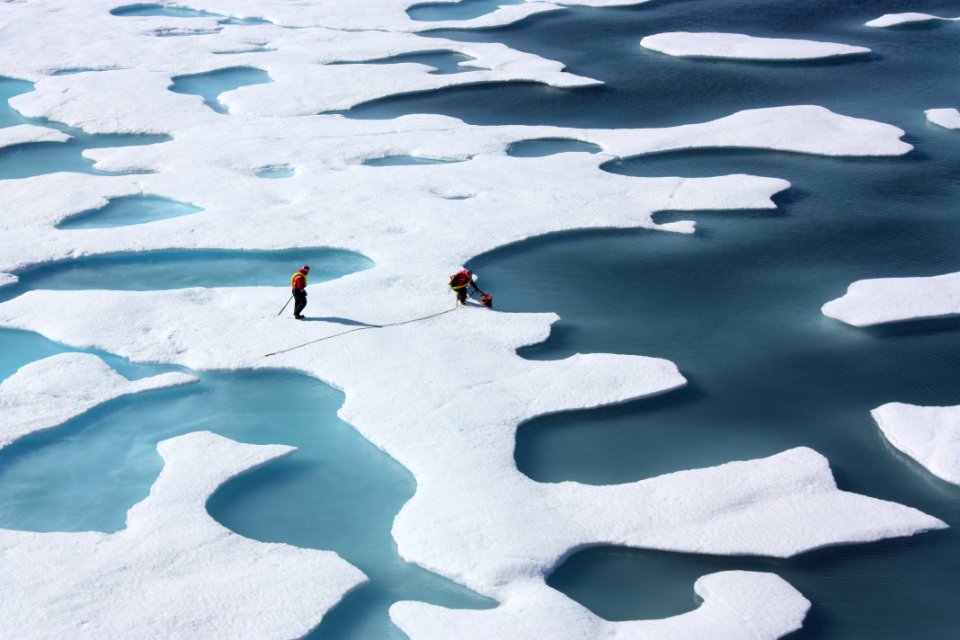 Arctic Sea Ice Ponds