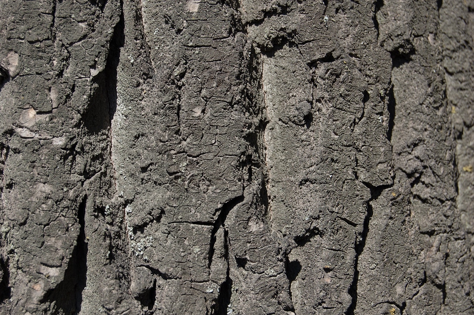 Large texture relief grey